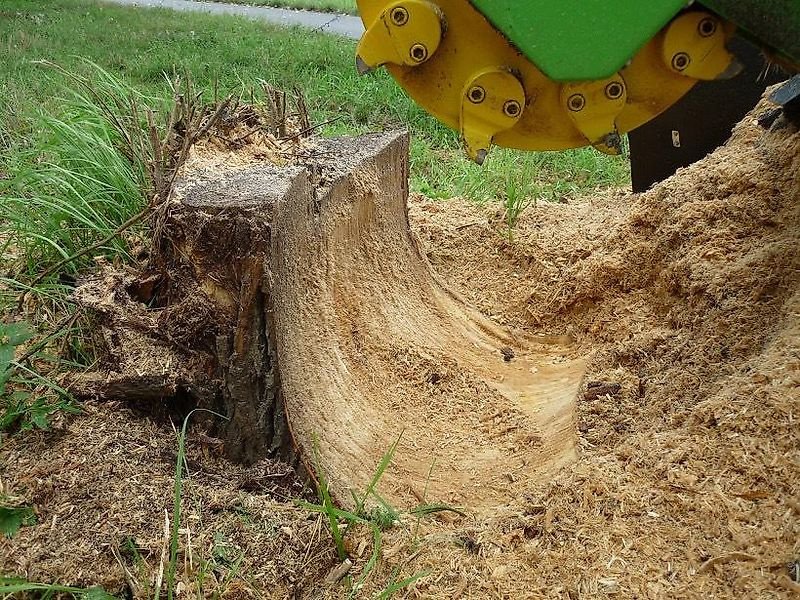 Bodenfräse des Typs laski Stubbenfräse Stockfräse Baumstumpffräse Wurzelstockfräse, Gebrauchtmaschine in Schmallenberg (Bild 3)