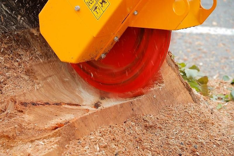 Bodenfräse typu laski Stubbenfräse Stockfräse Baumstumpffräse Wurzelstockfräse, Gebrauchtmaschine v Schmallenberg (Obrázek 2)