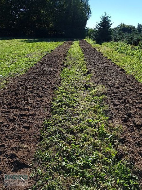 Bodenfräse des Typs mera Reihenrodungsfräse RF035/055/075/105, Neumaschine in Stelle-Ashausen (Bild 7)