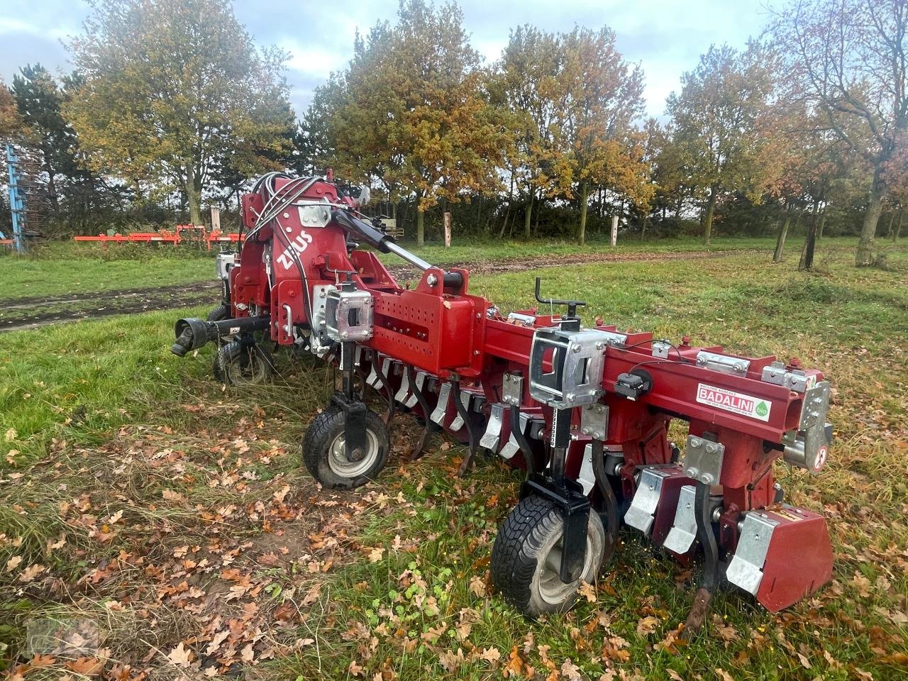 Bodenfräse typu Sonstige Badalini Zeus Super 13 Reihenfräse, Gebrauchtmaschine v Pragsdorf (Obrázek 2)
