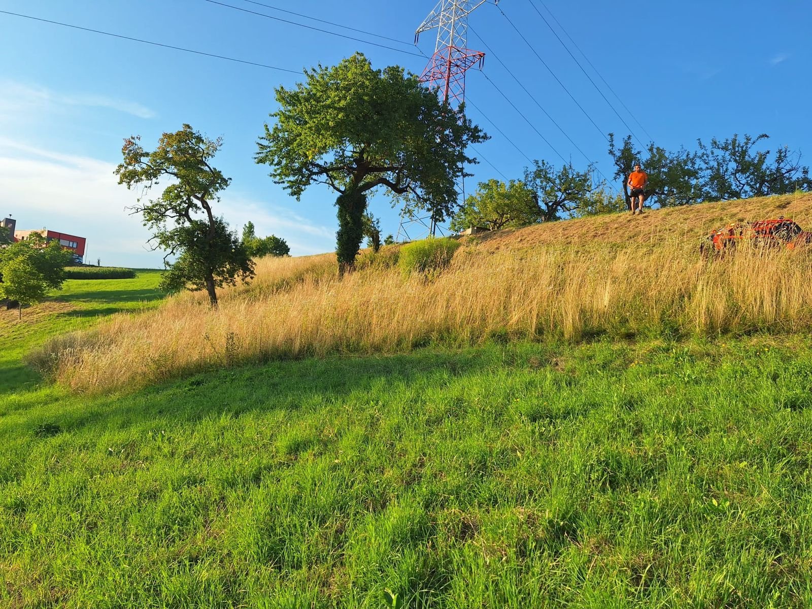 Böschungsmähgerät Türe ait Bio Jack Mulcher, Neumaschine içinde Bergheim (resim 10)