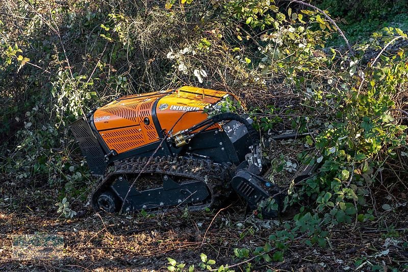 Böschungsmähgerät tip Energreen Robo Evo Vaario 40PS, Neumaschine in Stelle-Ashausen (Poză 2)