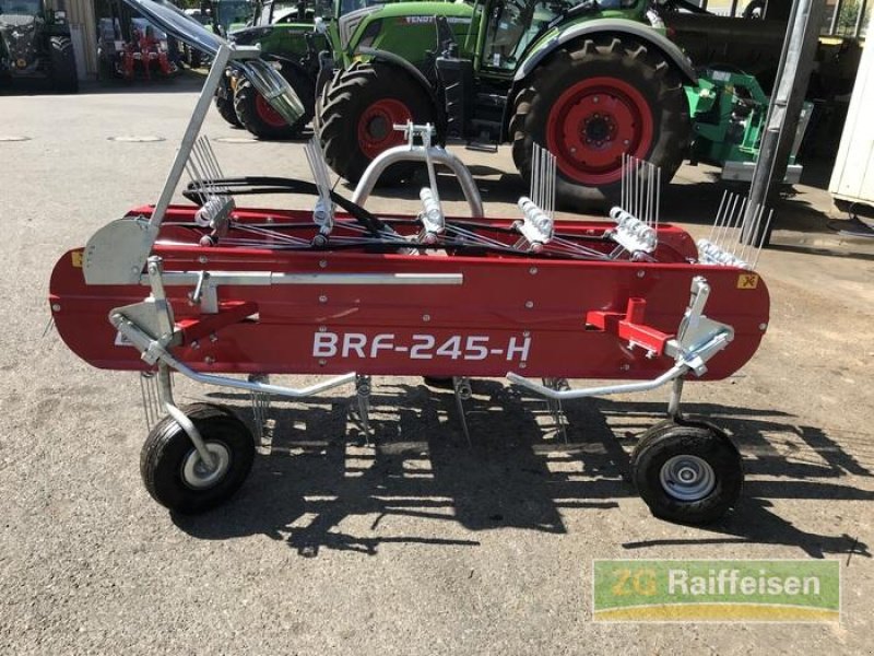 Böschungsmähgerät typu Kersten Bandrechen BRF-245Hmit, Gebrauchtmaschine w Mosbach (Zdjęcie 1)