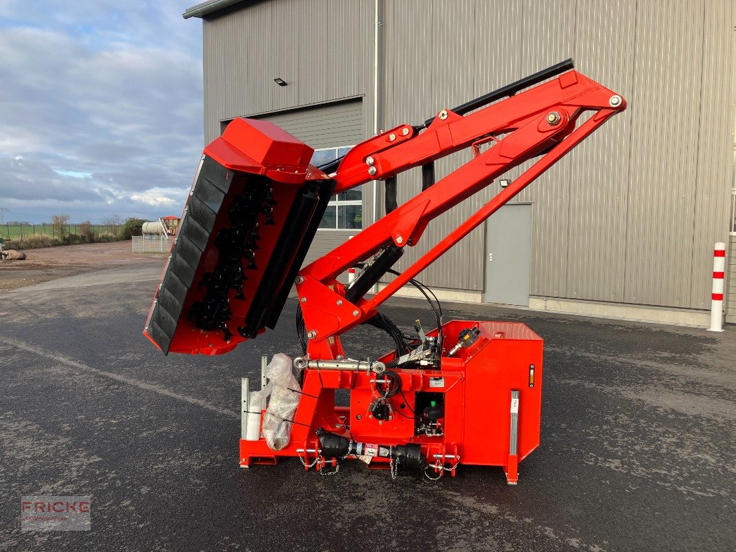 Böschungsmähgerät του τύπου Maschio Camilla 600 T, Neumaschine σε Demmin (Φωτογραφία 1)