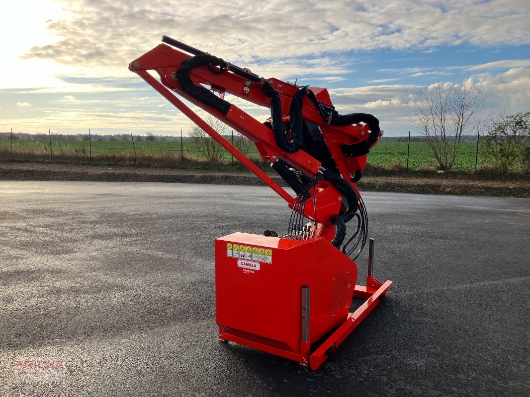 Böschungsmähgerät του τύπου Maschio Camilla 600 T, Neumaschine σε Demmin (Φωτογραφία 8)