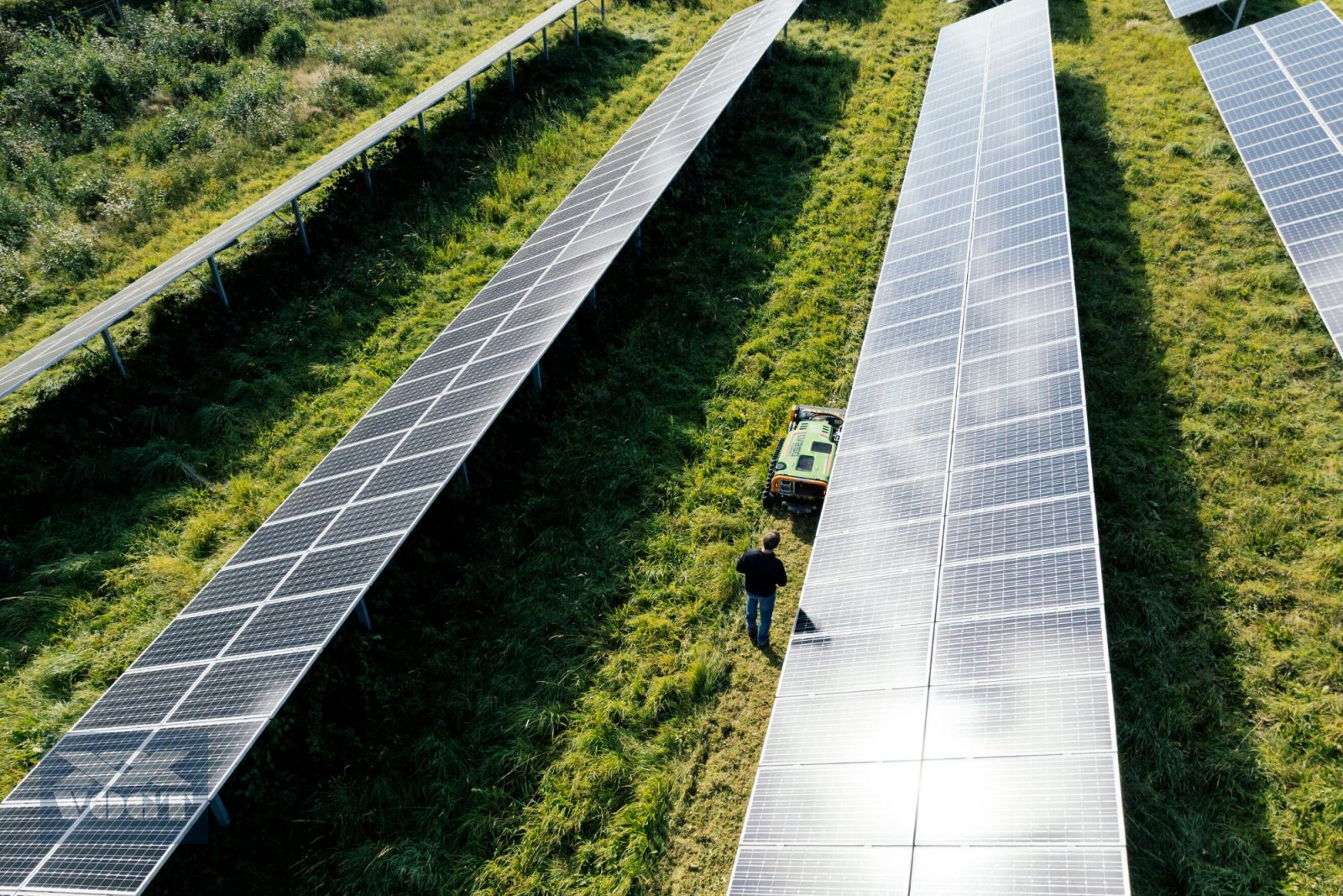 Böschungsmähgerät tipa MDB LV250 PRO Kompakte Mähraupe /Mulchraupe /Funkraupe inkl. Schlegelmulcher-, Neumaschine u Schmallenberg (Slika 15)