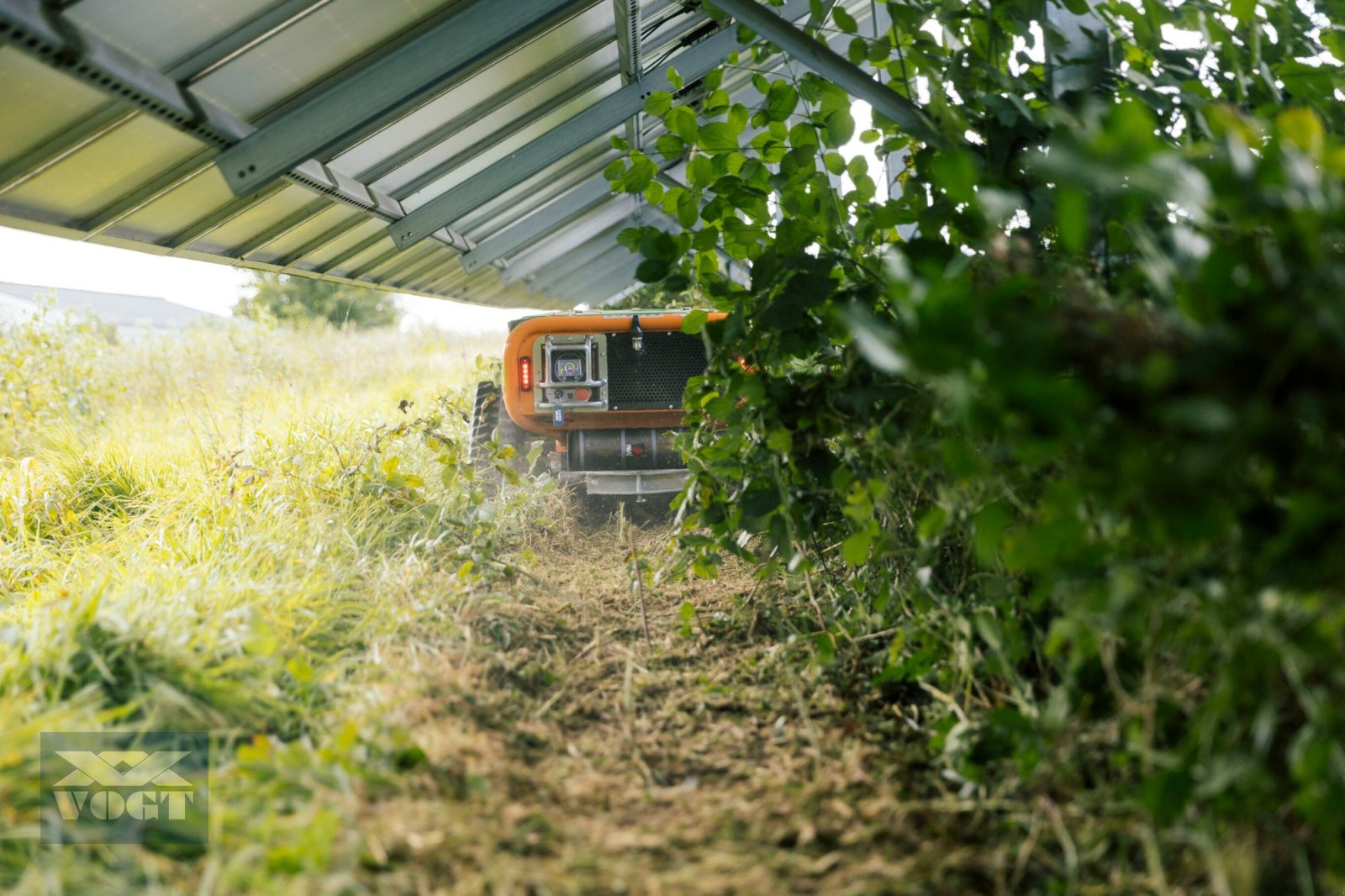 Böschungsmähgerät tipa MDB LV250 PRO Kompakte Mähraupe /Mulchraupe /Funkraupe inkl. Schlegelmulcher-, Neumaschine u Schmallenberg (Slika 16)