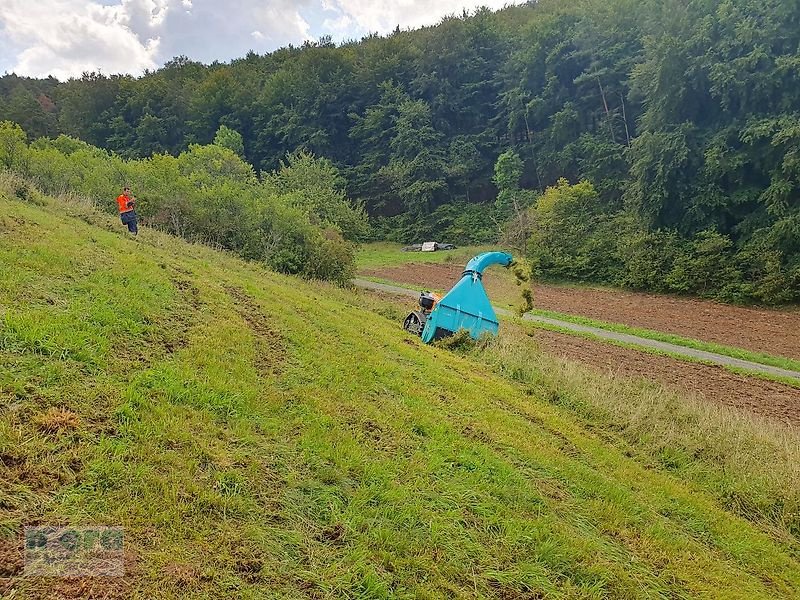 Böschungsmähgerät Türe ait mera Wurfschlegelmäher WSM-Robo, Neumaschine içinde Stelle-Ashausen (resim 5)