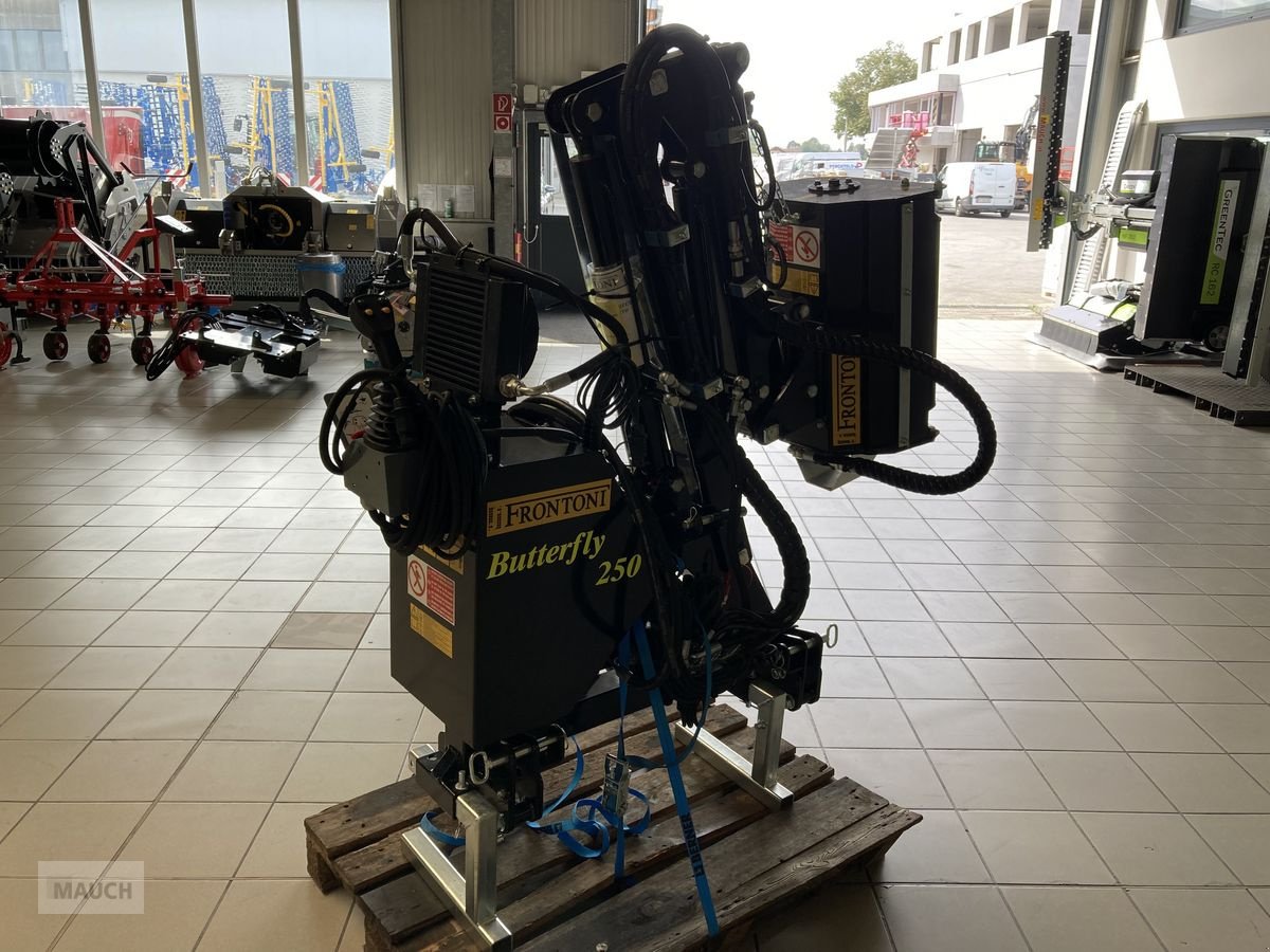 Böschungsmähgerät a típus Sonstige Butterfly 250 Black Edition, Neumaschine ekkor: Burgkirchen (Kép 5)