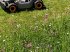 Böschungsmähgerät des Typs Sonstige MOWRATOR S1 Mähroboter Böschungsmäher Hangmäher, Neumaschine in Aigen-Schlägl (Bild 28)
