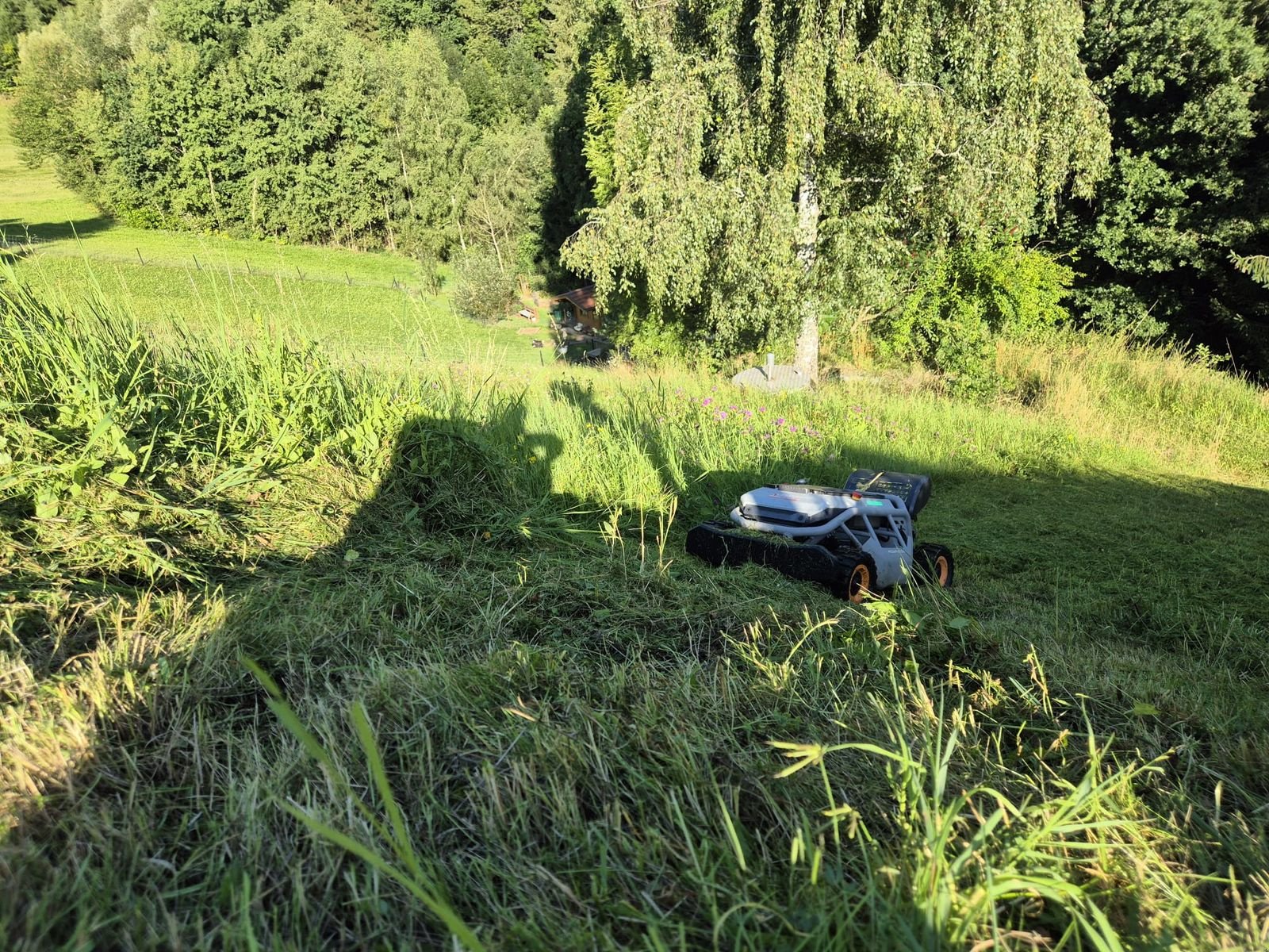 Böschungsmähgerät des Typs Sonstige MOWRATOR S1 Mähroboter Böschungsmäher Hangmäher, Neumaschine in Aigen-Schlägl (Bild 8)