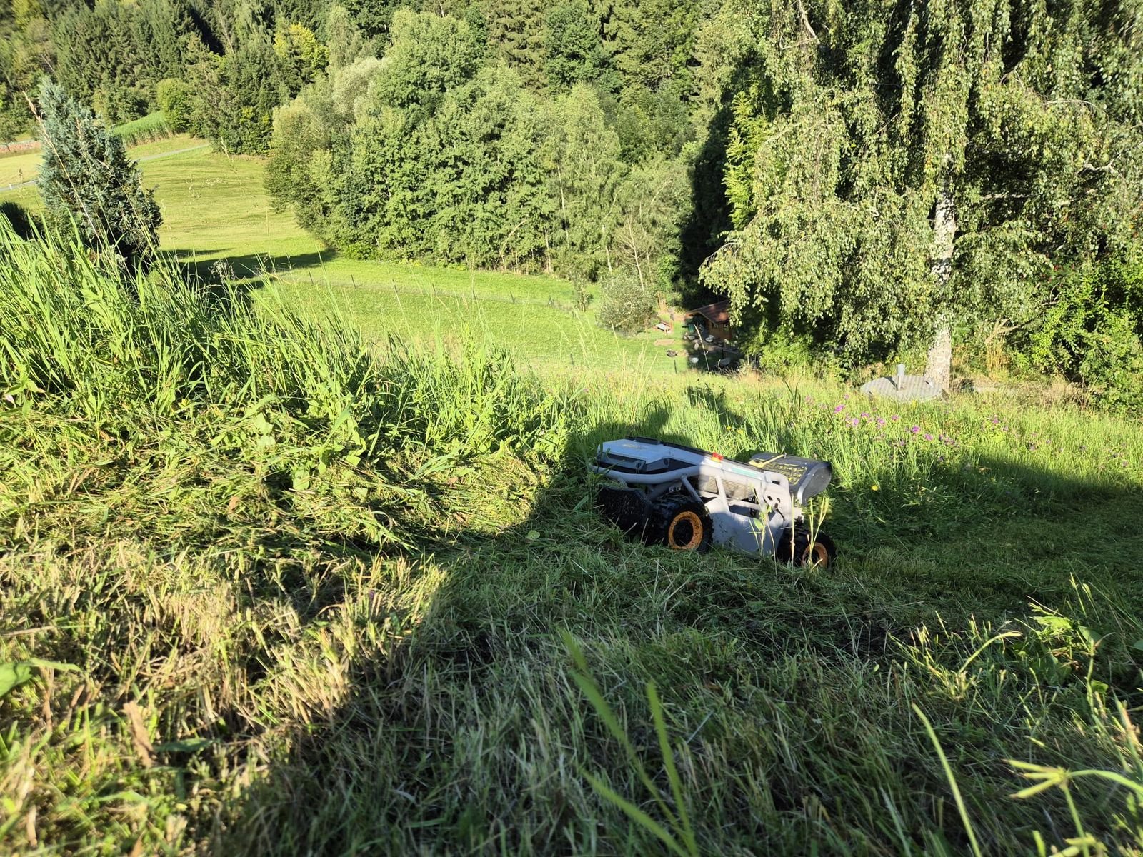 Böschungsmähgerät des Typs Sonstige MOWRATOR S1 Mähroboter Böschungsmäher Hangmäher, Neumaschine in Aigen-Schlägl (Bild 7)