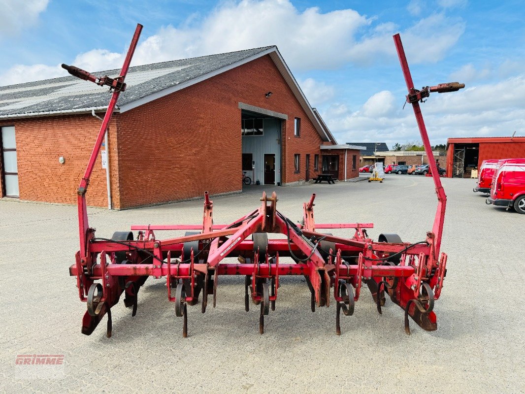 Dammformer des Typs Grimme GH-4 Skan, Gebrauchtmaschine in Rødkærsbro (Bild 2)