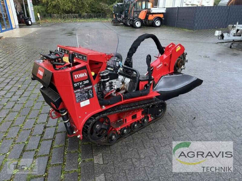 Dammformer типа Toro STX-38 BAUMSTUBBENFRÄSE, Gebrauchtmaschine в Münster (Фотография 3)