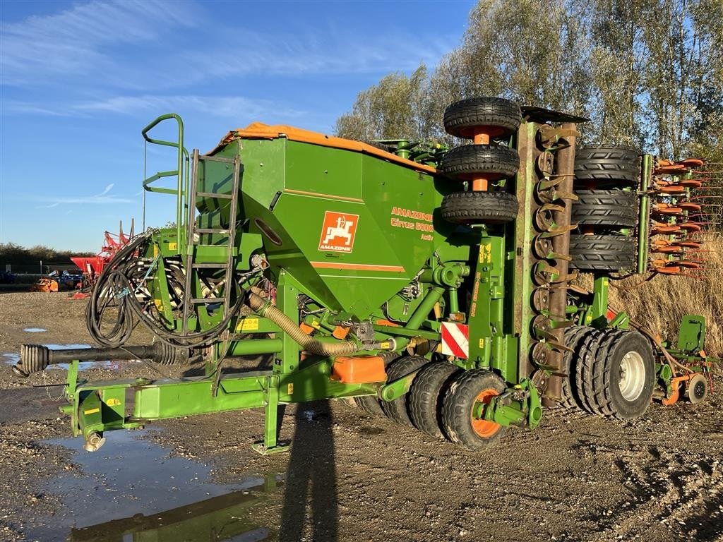 Direktsaatmaschine des Typs Amazone Cirrus 6000 ACTIV Pænt og velholdt såsæt., Gebrauchtmaschine in Sakskøbing (Bild 1)