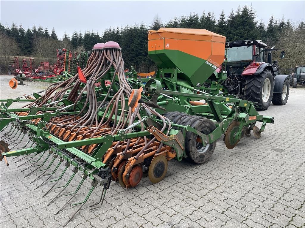 Direktsaatmaschine of the type Amazone Cirrus 6002, Gebrauchtmaschine in Nimtofte (Picture 11)
