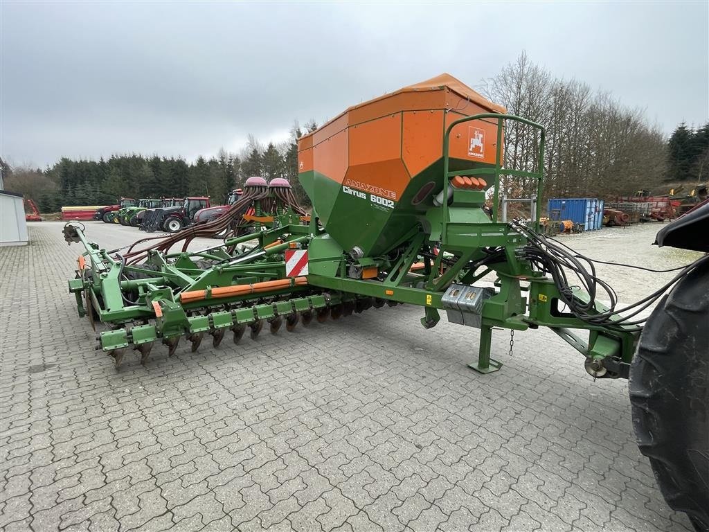 Direktsaatmaschine of the type Amazone Cirrus 6002, Gebrauchtmaschine in Nimtofte (Picture 10)