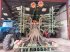 Direktsaatmaschine tip Amazone CIRRUS 6003-2, Gebrauchtmaschine in BRAS SUR MEUSE (Poză 4)