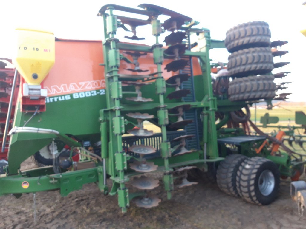 Direktsaatmaschine a típus Amazone CIRRUS 6003-2, Gebrauchtmaschine ekkor: BRAS SUR MEUSE (Kép 1)