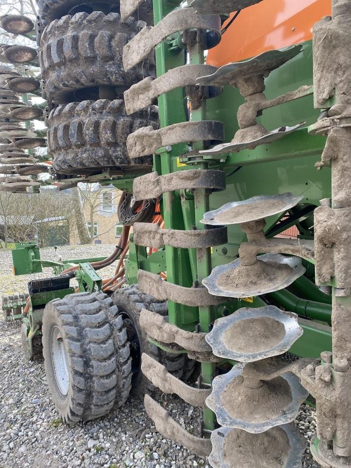 Direktsaatmaschine типа Amazone CIRRUS 6003-2C, Gebrauchtmaschine в Maribo (Фотография 2)