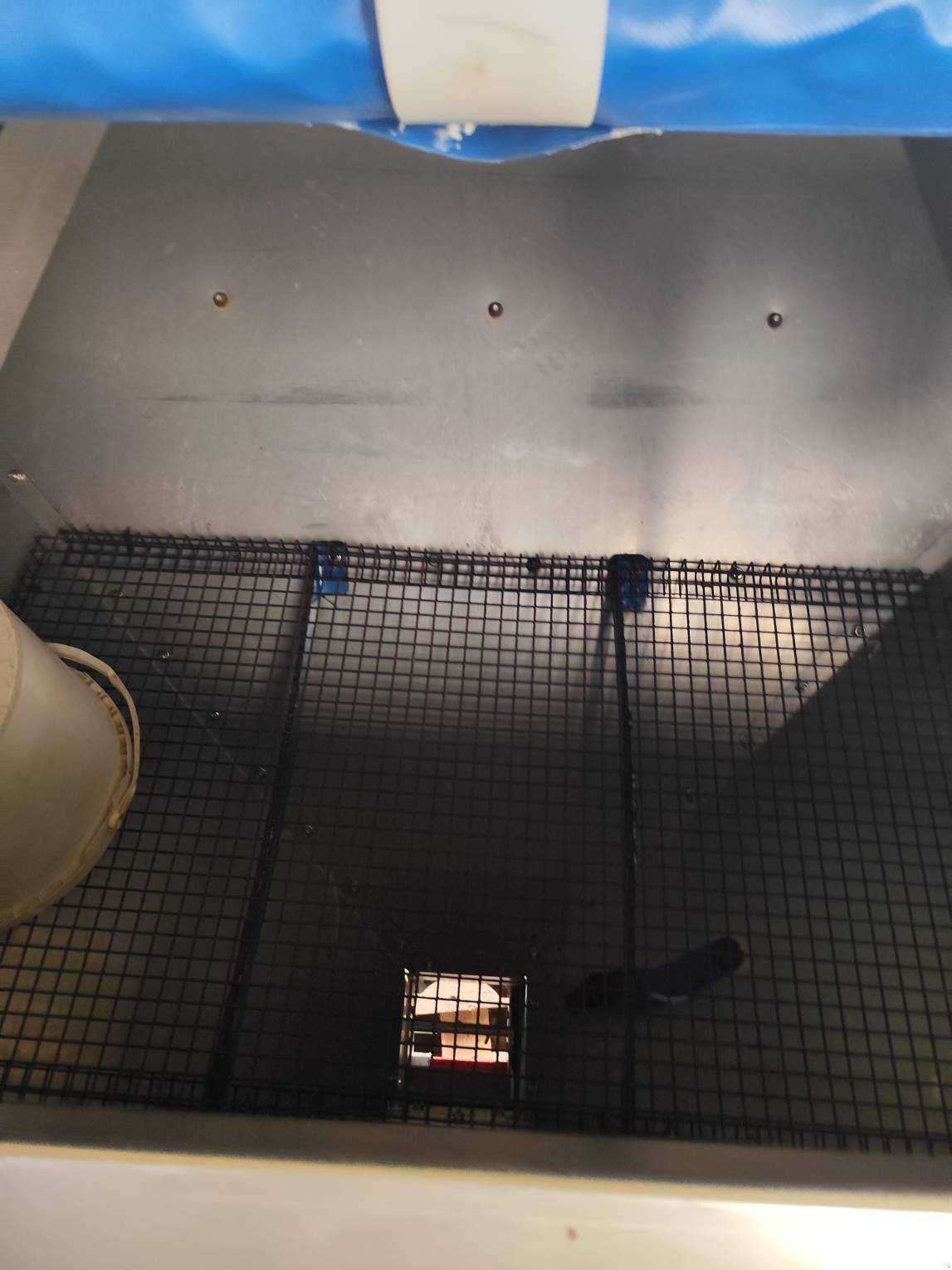 Direktsaatmaschine tip Carré TREMIE FRONTALE OCTOPUS 1400L, Gebrauchtmaschine in Le Horps (Poză 4)