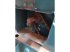 Direktsaatmaschine del tipo Sulky COMPACT 3M, Gebrauchtmaschine en ESCAUDOEUVRES (Imagen 6)