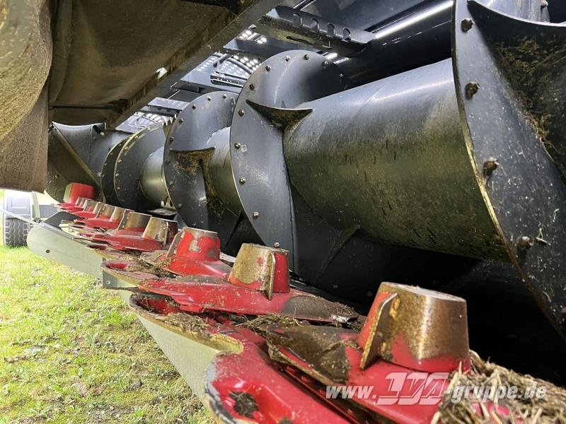 Direktschneidwerk del tipo Capello Spartan 610, Gebrauchtmaschine en Sülzetal OT Altenweddingen (Imagen 3)