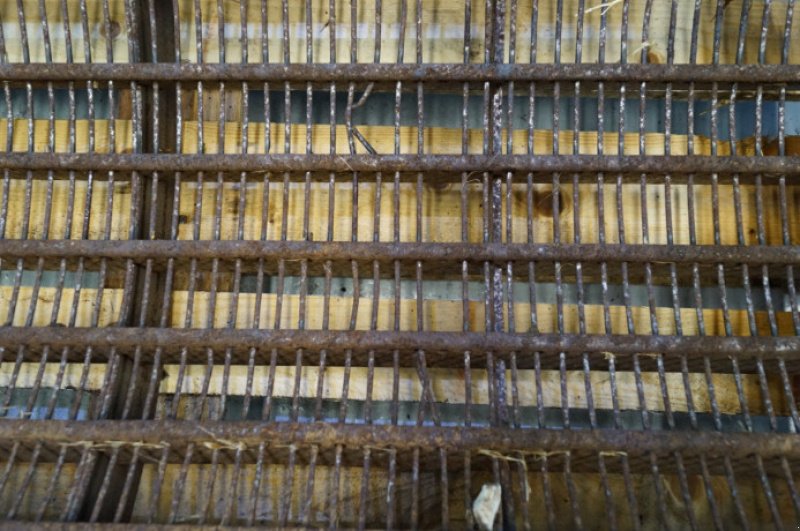 Dreschwerk typu Massey Ferguson 40, Gebrauchtmaschine v Hemmet (Obrázek 8)