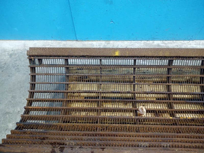 Dreschwerk typu Massey Ferguson 40, Gebrauchtmaschine v Hemmet (Obrázek 8)