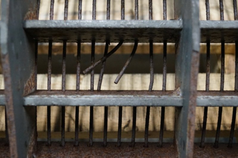 Dreschwerk typu Massey Ferguson 9280, Gebrauchtmaschine v Hemmet (Obrázek 9)