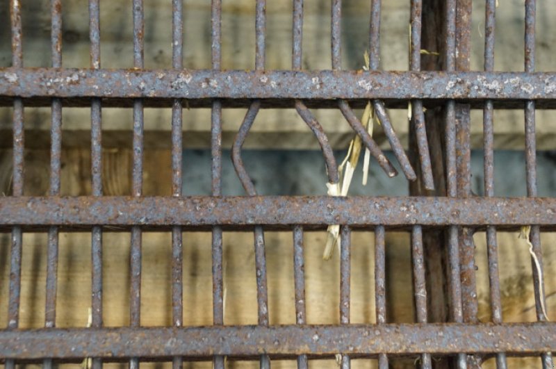 Dreschwerk typu Sonstige 8900, Gebrauchtmaschine v Hemmet (Obrázek 12)