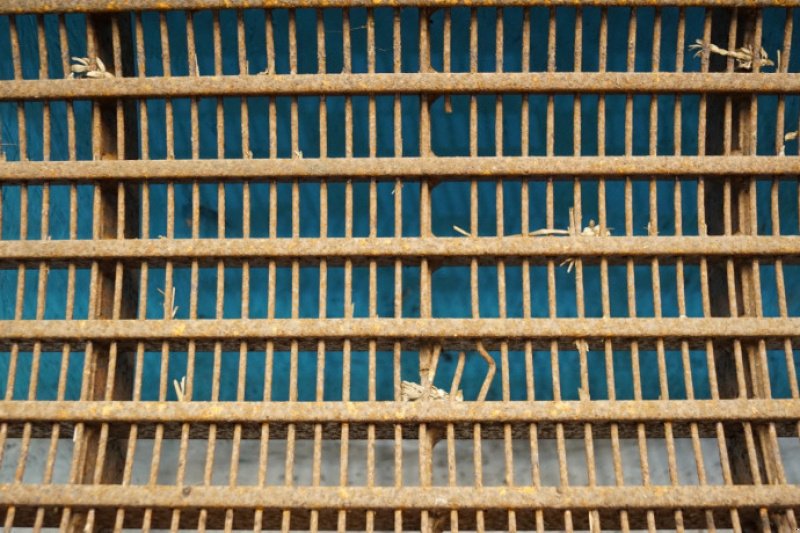 Dreschwerk typu Sonstige 8900, Gebrauchtmaschine v Hemmet (Obrázek 14)