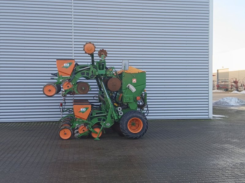 Drillmaschine типа Amazone ED 602-K Majssåmaskine, Gebrauchtmaschine в Horsens