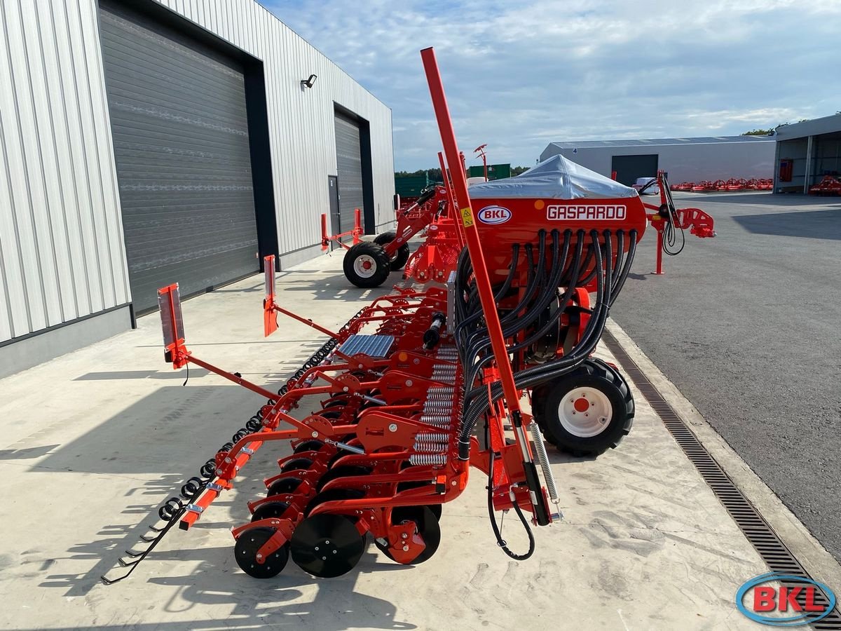 Drillmaschine Türe ait Gaspardo Maschio Pinta 500, Neumaschine içinde Rovisce (resim 8)