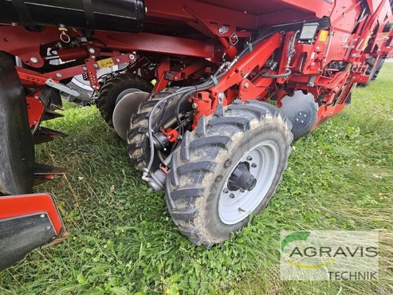 Drillmaschine Türe ait Grimme PRIOS 440 PRO, Gebrauchtmaschine içinde Nienburg (resim 7)