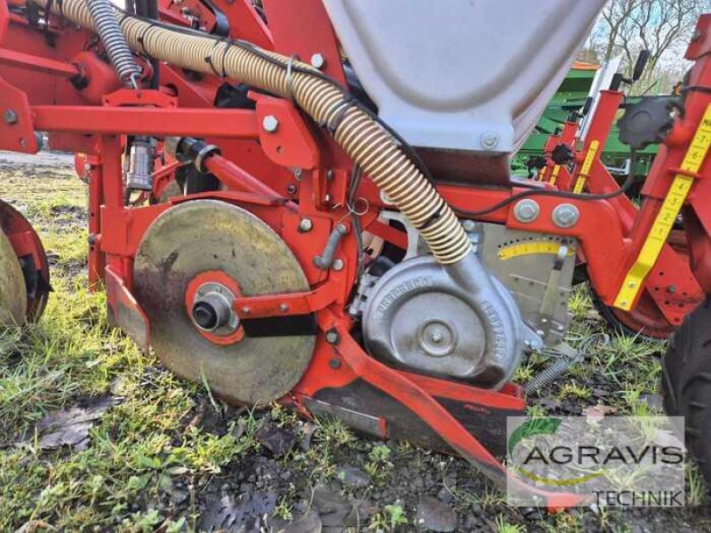 Drillmaschine del tipo Maschio SP SPRINT, Gebrauchtmaschine en Melle-Wellingholzhausen (Imagen 10)
