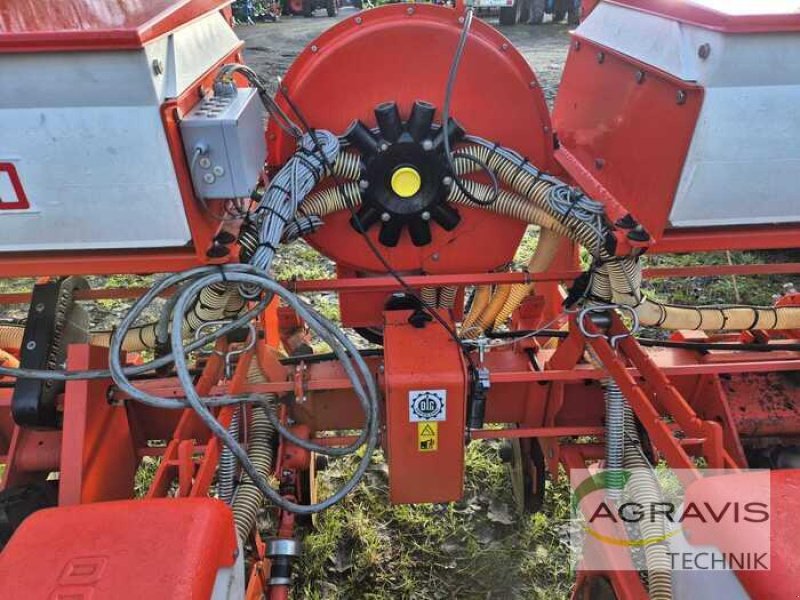 Drillmaschine del tipo Maschio SP SPRINT, Gebrauchtmaschine en Melle-Wellingholzhausen (Imagen 8)
