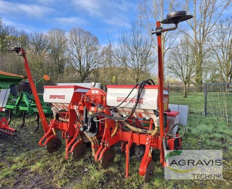 Drillmaschine del tipo Maschio SP SPRINT, Gebrauchtmaschine en Melle-Wellingholzhausen (Imagen 1)