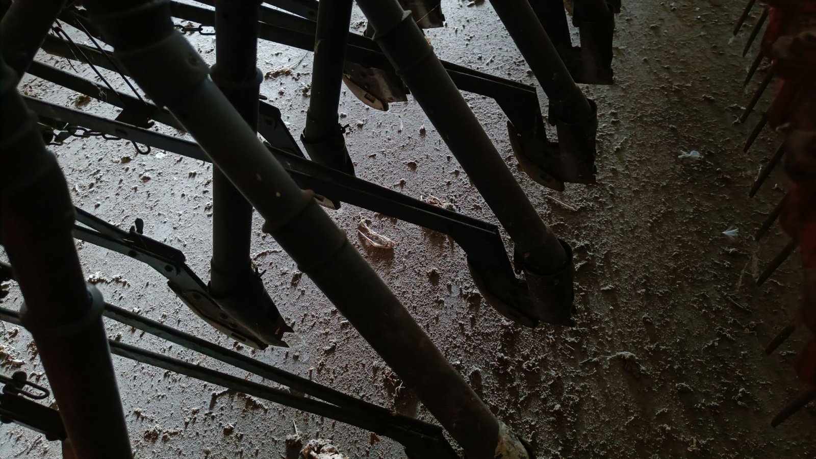 Drillmaschine tip Nordsten CLB Lift-O-Matic med efterharve 6 m, Gebrauchtmaschine in Egtved (Poză 10)