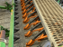 Drillmaschinenkombination типа Amazone AD, Gebrauchtmaschine в TREMEUR (Фотография 8)