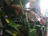 Drillmaschinenkombination des Typs Amazone ADP, Gebrauchtmaschine in BLESMES (Bild 4)