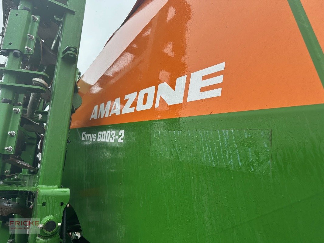 Drillmaschinenkombination tip Amazone Cirrus 6003-2, Gebrauchtmaschine in Bockel - Gyhum (Poză 2)