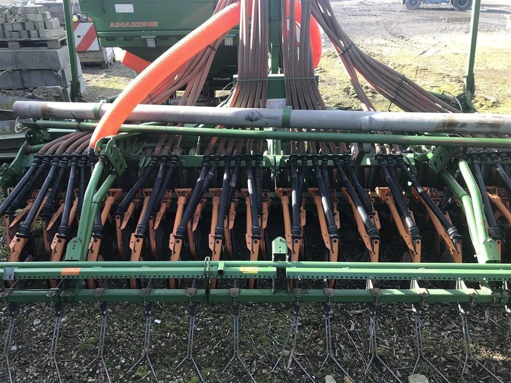 Drillmaschinenkombination of the type Amazone KG 4000 Speciel - Avant Profi, Gebrauchtmaschine in Roskilde (Picture 6)