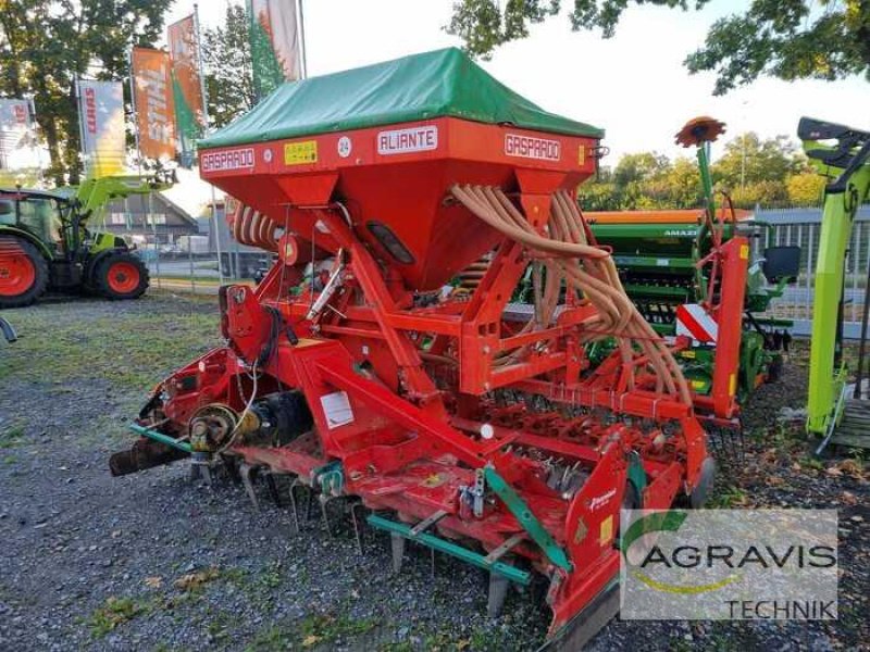 Drillmaschinenkombination del tipo Gaspardo ALIANTE 300, Gebrauchtmaschine en Lage (Imagen 1)