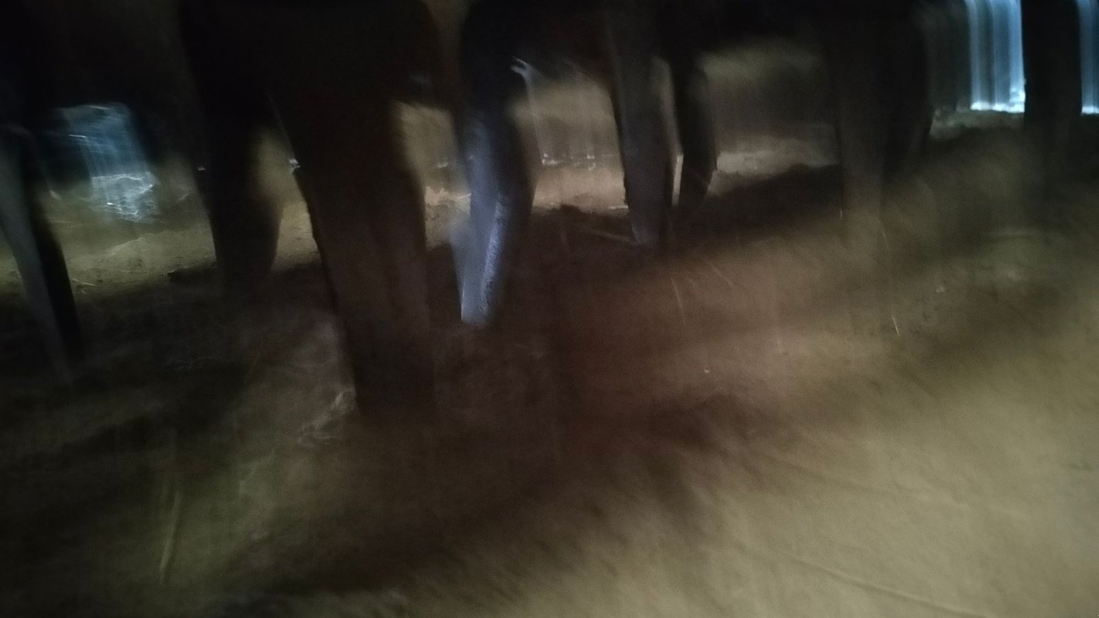 Drillmaschinenkombination tip Maschio Rotorharve 3 m med Nordsten NS 3030 såmaskine, Gebrauchtmaschine in Egtved (Poză 4)