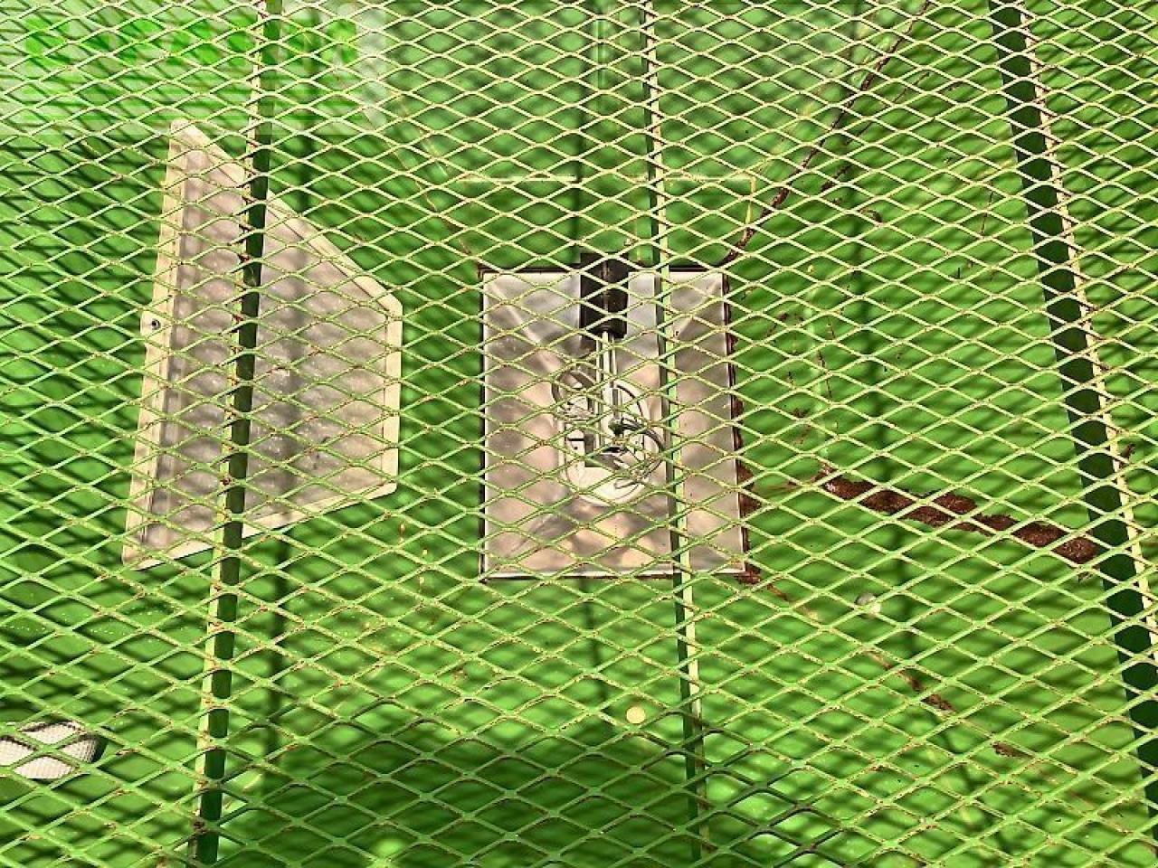 Düngerstreuer of the type Amazone za-m 1500 profis - wiegestreuer, Gebrauchtmaschine in Sierning (Picture 21)