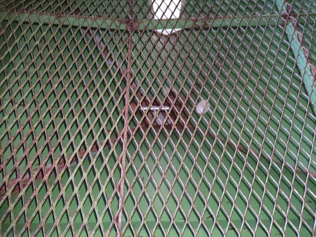 Düngerstreuer типа Amazone ZAU1001, Gebrauchtmaschine в COGNAC LA FORET (Фотография 5)