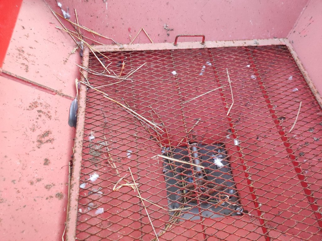 Düngerstreuer del tipo Kuhn Mds 1131, Gebrauchtmaschine en Chauvoncourt (Imagen 3)