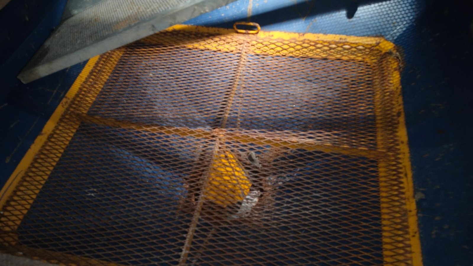 Düngerstreuer Türe ait Sonstige D1000, Gebrauchtmaschine içinde Egtved (resim 3)