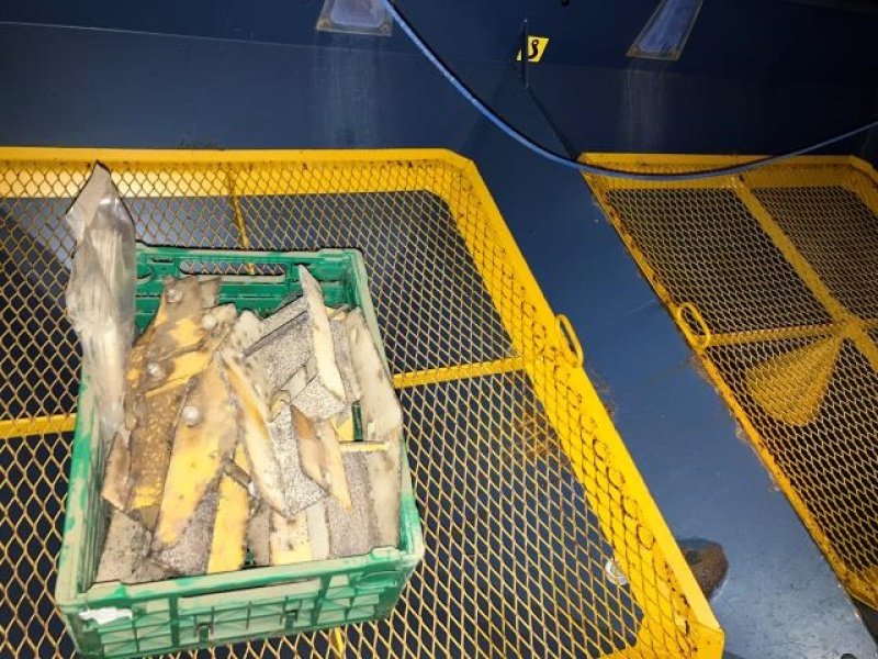 Düngerstreuer типа Sonstige EXW TREND, Gebrauchtmaschine в Middelfart (Фотография 9)